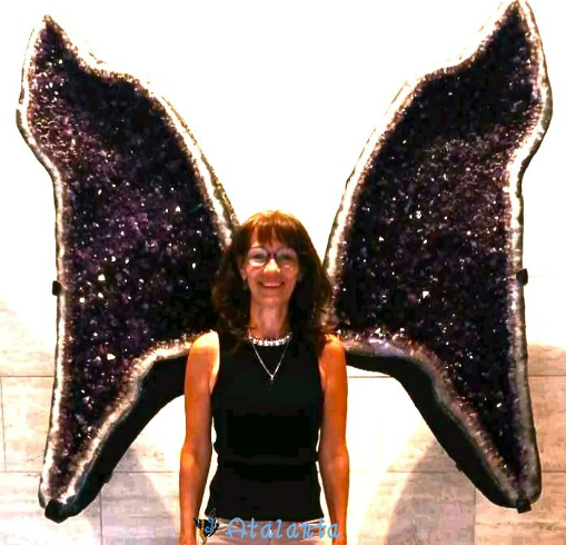 Atalanta coaching en relaxatie vlinder